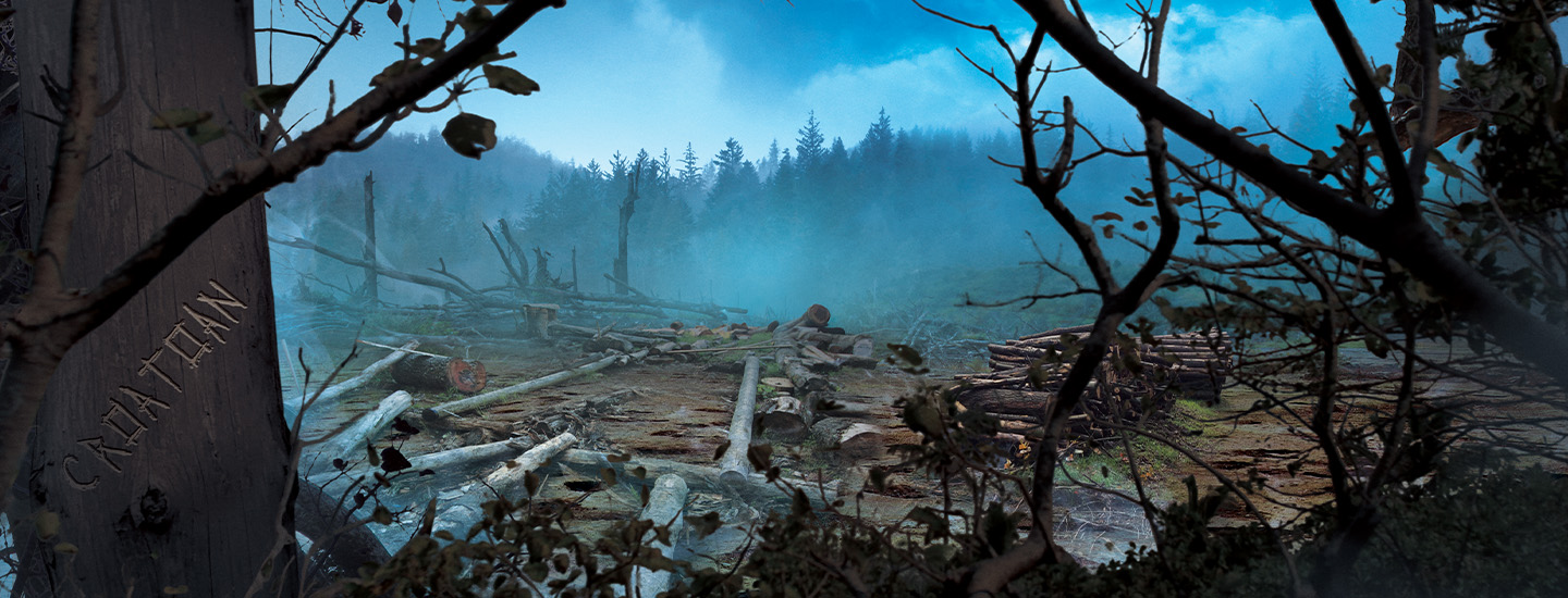 A cleared forest floor covered in fallen logs and stumps, with the word Creation carved into a tree trunk